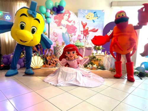 Ariel Princesa personagem vivo cosplay Festa infantil 787200