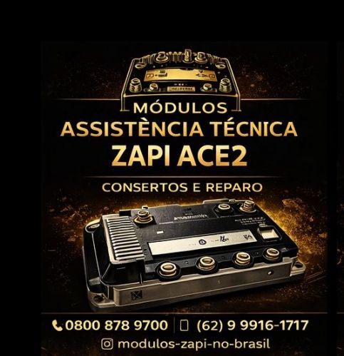 Assistência -técnica-em-módulos-de-empilhadeira s-zapi-no-brasil 778288