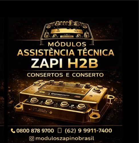 Assistência -técnica-em-módulos-de-empilhadeira s-zapi-no-brasil 778290