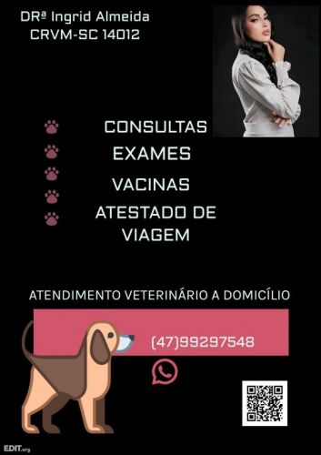 Atendimento Veterinário a Domicílio 766238
