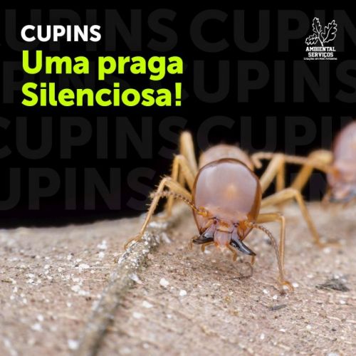 Auxiliar de Serviços Gerais - Limpza - Controlador de Acesso - Mão de Obra Especializada 760551