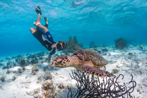 Bonaire seu Caribe para mergulho windsurfe e kitesurfe 769492