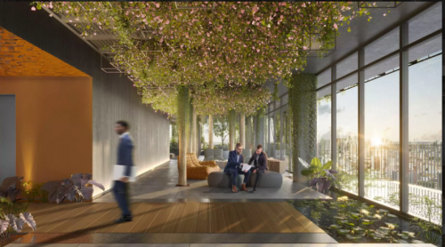 Botânica Office 713836