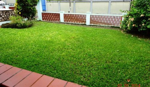 Casa com 6 dormitórios à venda - Pedro do Rio - Petrópolisrj 778556