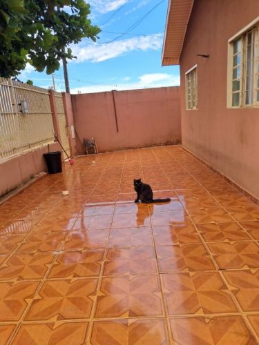 Casa Sabáudia Pr 95 metros 3 quartos rua são Mateus n 11  770452