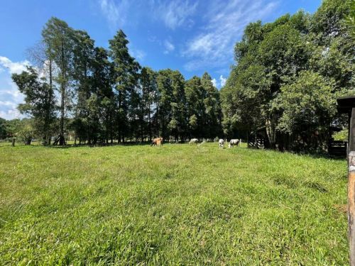 Chacara a Venda em Porangaba 746430