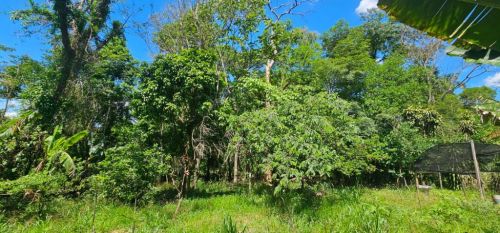 Chácara bairro dos Pires em Limeira 744455