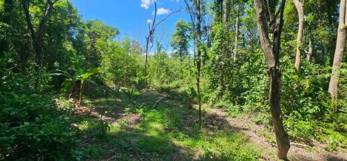 Chácara bairro dos Pires em Limeira 744456