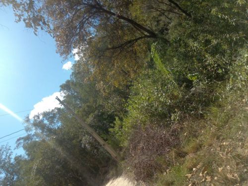 Chácara em Ravena  R$ 95.000.00 773018