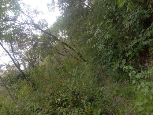 Chácara em Ravena  R$ 95.000.00 773020