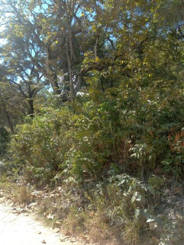 Chácara em Ravena  R$ 95.000.00 773022