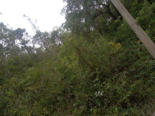 Chácara em Ravena  R$ 95.000.00 773023