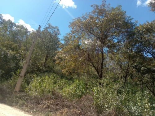 Chácara em Ravena  R$ 95.000.00 773026