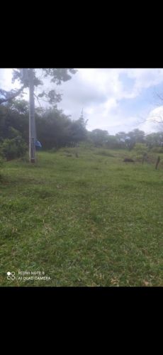 Chácara faturando e dando Lucro  752762