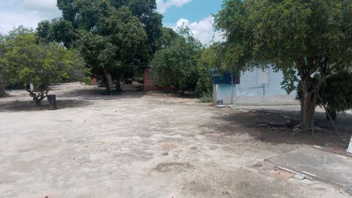 Chácara Urbana 766891
