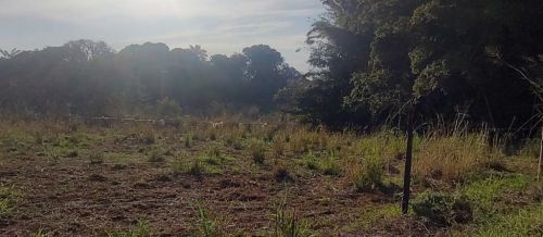 Chácara Vila Ribeiro  771987