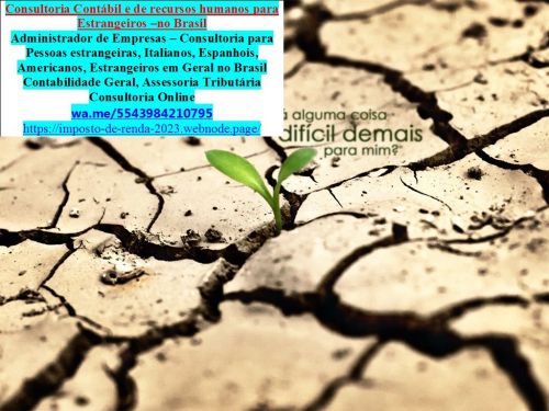 Comprovante de renda Minas Gerais  766578