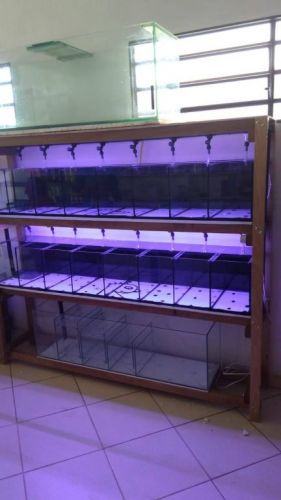 Consertos e reformas de aquários e Lagos  754953