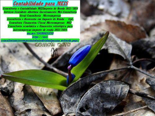 Consultoria Contábil Mensal Online para Mei Av Santos Dumont 763662 Consultoria Contábil Mensal Online para Mei Av Santos Dumont 763662
