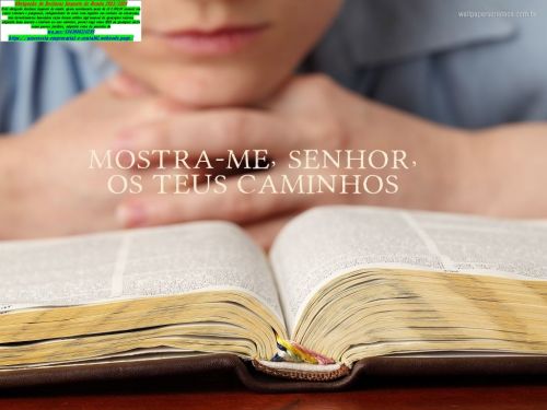 Contador Assessoria Imposto de Renda 2026 Jd Monte Carlo 774581 Contador Assessoria Imposto de Renda 2026 Jd Monte Carlo 774581