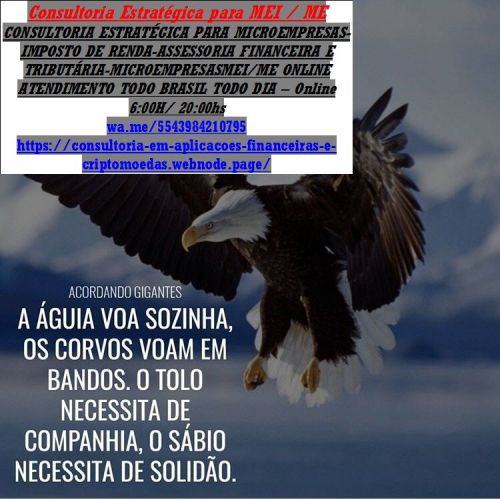 Retificadora Declaração Anual da Mei 2025  Londrina  741080