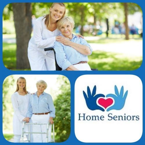 Cuidador De Idosos - Home Seniors 362432