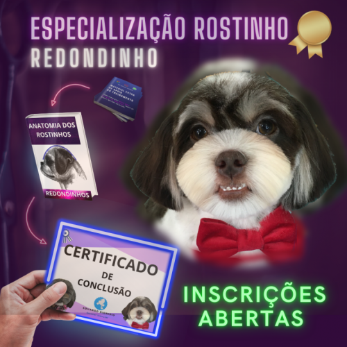 Curso: Especialização Rostinho Redondo. 749810