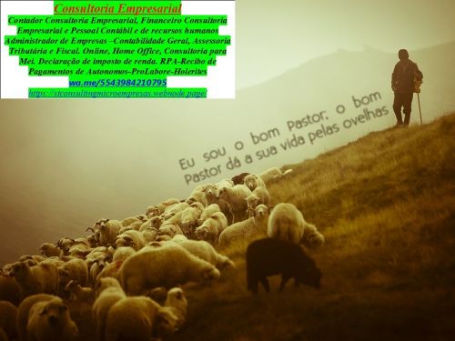 Declaração Anual de Faturamento - Dasn - Portal Mei Brasil  767188