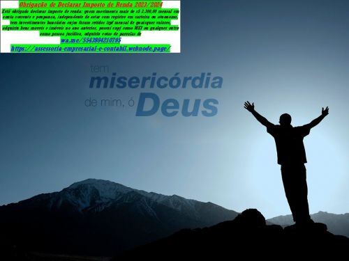 Declaração Anual de Faturamento - Dasn - Portal Mei Business Paraná  767161