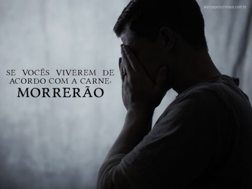 Declaração Anual de Faturamento - Dasn - Portal Mei Business Paraná 768083 Declaração Anual de Faturamento - Dasn - Portal Mei Business Paraná 768083