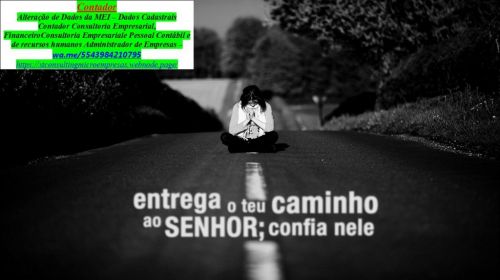 Declaração Anual do Mei  739852