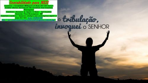 Declaração Anual do Mei: Como Fazer e o Que Informar - Mei - São Luiz 760878