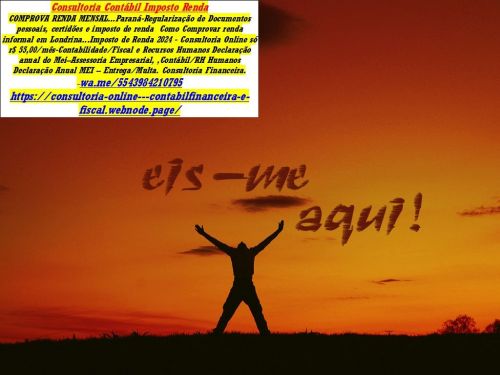 Declaração Anual Mei 2025 739616