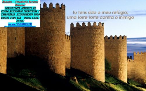 Declaração Anual Mei a partir de r$ 8000  778408