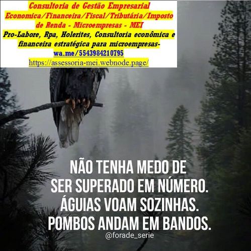  Declaração De  Imposto De Renda 2026 Zona Norte  775027