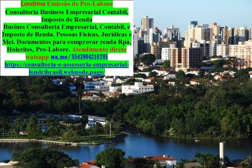 Consultoria para Fazer Declaração do Imposto de Renda 2025   741077