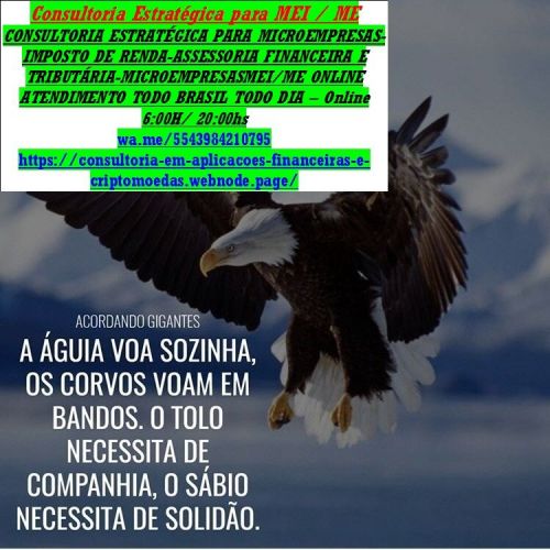 Comprovar renda:autônomosmicroempresáriosmeis profissionai liberais   741078