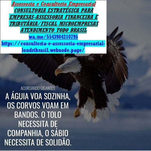 Declarar Receita Bruta Anual para ao Mei Dasn-simei  740654