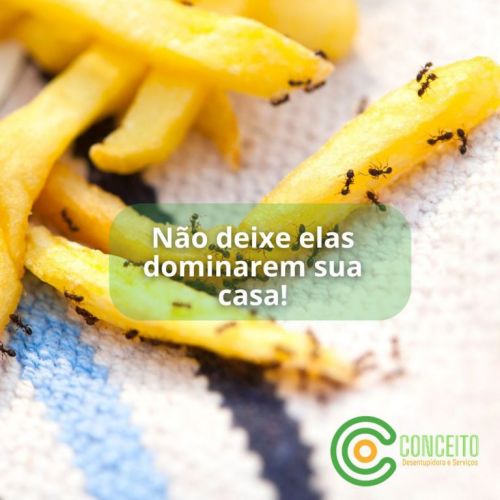 Dedetizadora 24horas em Porto Alegre contra baratas ratos mosquitos e muito mais 746326