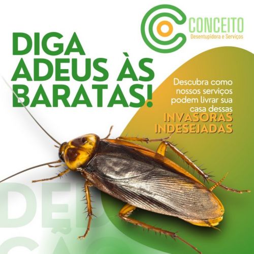 Dedetizadora 24horas em Porto Alegre contra baratas ratos mosquitos e muito mais 746327