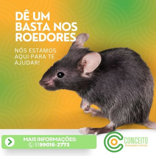 Dedetizadora 24horas em Porto Alegre contra baratas ratos mosquitos e muito mais 746328