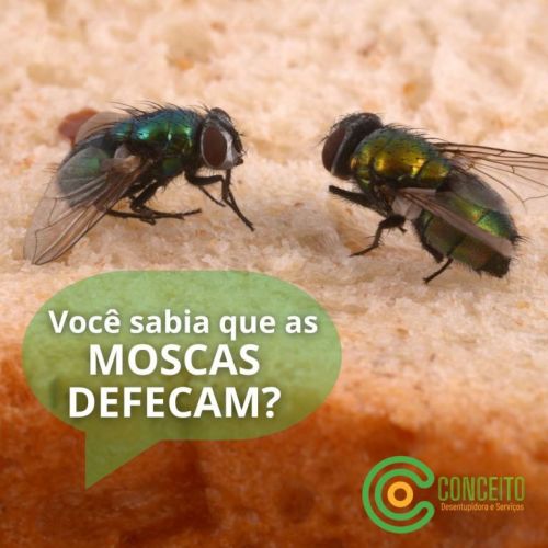 Dedetizadora 24horas em Porto Alegre contra baratas ratos mosquitos e muito mais 746331