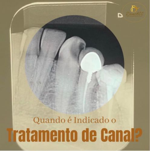 Dentacc Centro Odontológico 778884