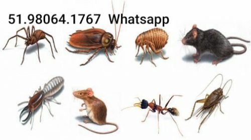 Desentupidora Porto Alegre e Canoas Rs 574336
