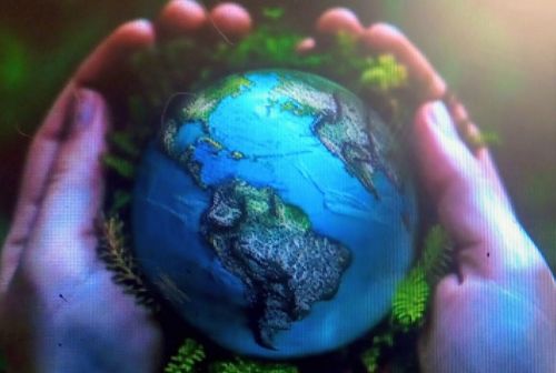 despachante de escritura 776314