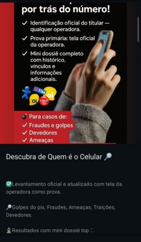 Detetive Particular 780386