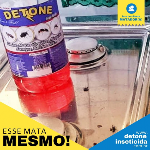 Detone - Elimina baratas formigas escorpiões 755128 Detone - Elimina baratas formigas escorpiões 755128