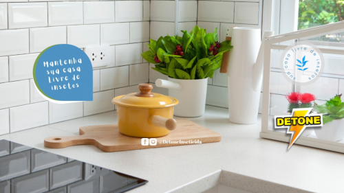 Detone - Elimina baratas formigas escorpiões 755129 Detone - Elimina baratas formigas escorpiões 755129