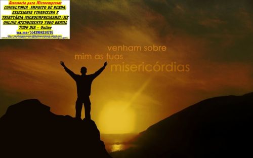 Diamante do Sul Consultoria Microempresa Contador e Imposto renda  777746