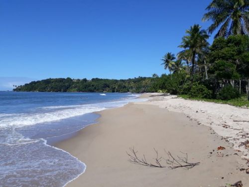 Espectacular Terreno No Paraiso 754732
